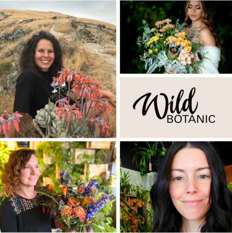 Friends in Business | Wild Botanic | Floristry & Plant Styling